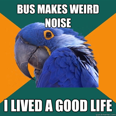 Bus makes weird noise I lived a good life  Paranoid Parrot