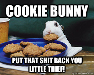 Cookie Bunny Put that shit back you little thief! - Cookie Bunny Put that shit back you little thief!  Cookie Bunny