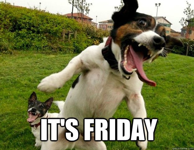 IT's Friday  insane dog