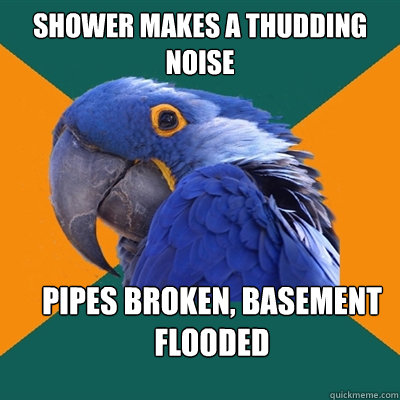 Shower makes a thudding noise Pipes Broken, Basement Flooded  Paranoid Parrot