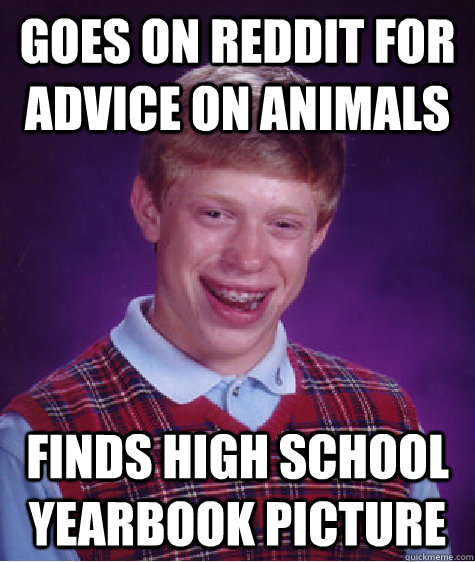 Goes on reddit for advice on animals finds high school yearbook picture  Bad Luck Brian