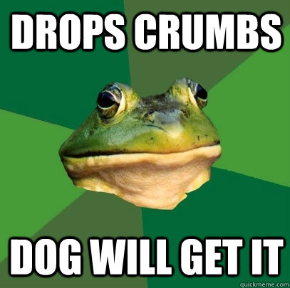 drops crumbs dog will get it  Foul Bachelor Frog