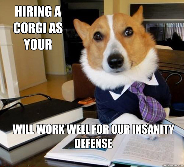 Hiring a corgi as your attorney Will work well for our insanity defense  - Hiring a corgi as your attorney Will work well for our insanity defense   Lawyer Dog