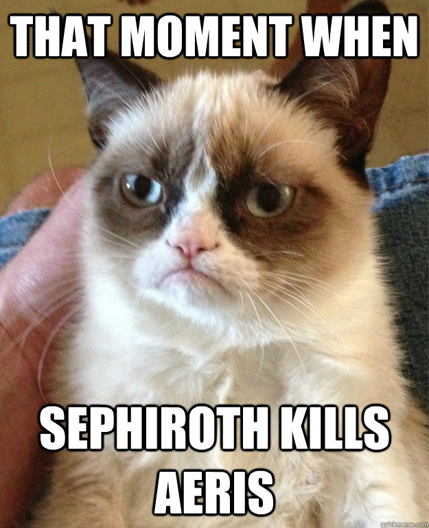 that moment when  sephiroth kills aeris  Grumpy Cat