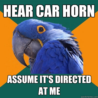 Hear car horn Assume it's directed at me  Paranoid Parrot