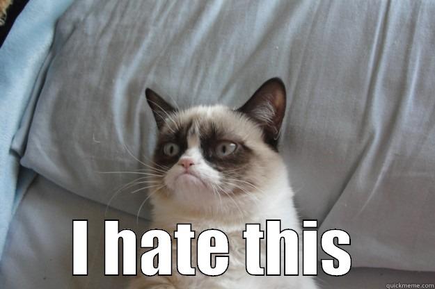  I HATE THIS Grumpy Cat