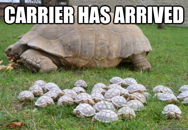 CARRIER HAS ARRIVED  - CARRIER HAS ARRIVED   Starcraft Tortoise