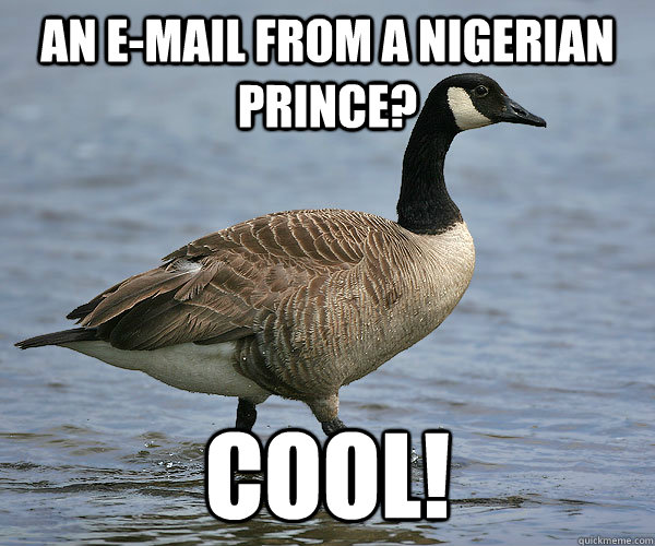 An e-mail from a nigerian prince? Cool! - An e-mail from a nigerian prince? Cool!  Gullible Goose