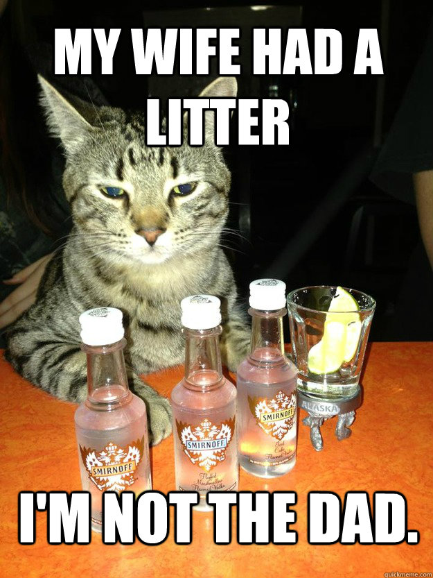 my wife had a litter I'm not the dad. - my wife had a litter I'm not the dad.  Alcoholic Cat