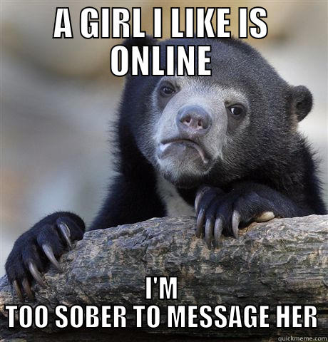 A GIRL I LIKE IS ONLINE I'M TOO SOBER TO MESSAGE HER Confession Bear