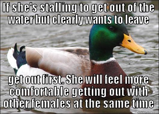 IF SHE'S STALLING TO GET OUT OF THE WATER BUT CLEARLY WANTS TO LEAVE GET OUT FIRST. SHE WILL FEEL MORE COMFORTABLE GETTING OUT WITH OTHER FEMALES AT THE SAME TIME Actual Advice Mallard