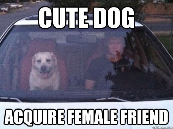 Cute Dog Acquire female friend  - Cute Dog Acquire female friend   Dog Date