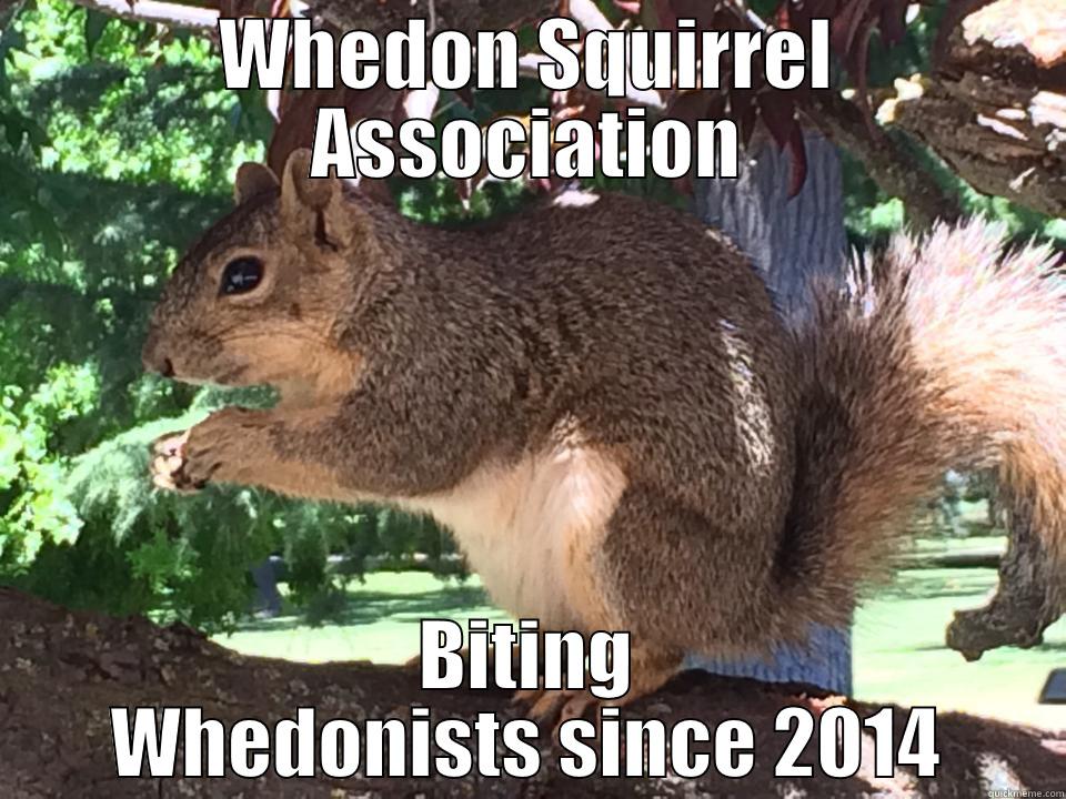 WHEDON SQUIRREL ASSOCIATION BITING WHEDONISTS SINCE 2014 Misc