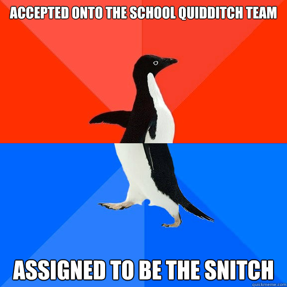accepted onto the school Quidditch Team assigned to be the snitch  Socially Awesome Awkward Penguin