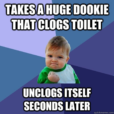 Takes a huge dookie that clogs toilet unclogs itself seconds later  Success Kid