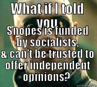 WHAT IF I TOLD YOU SNOPES IS FUNDED BY SOCIALISTS, & CAN'T BE TRUSTED TO OFFER INDEPENDENT OPINIONS?  Matrix Morpheus