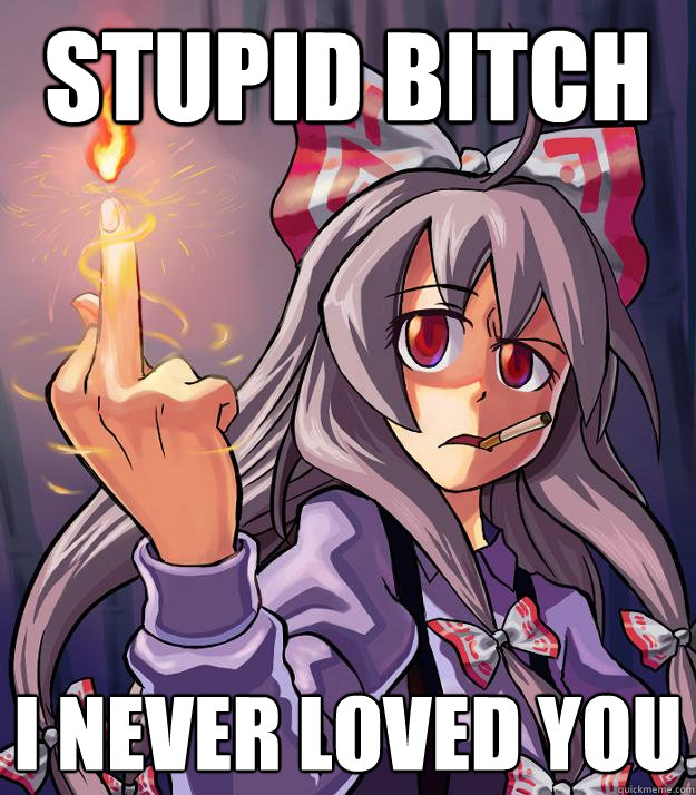 Stupid bitch i never loved you  