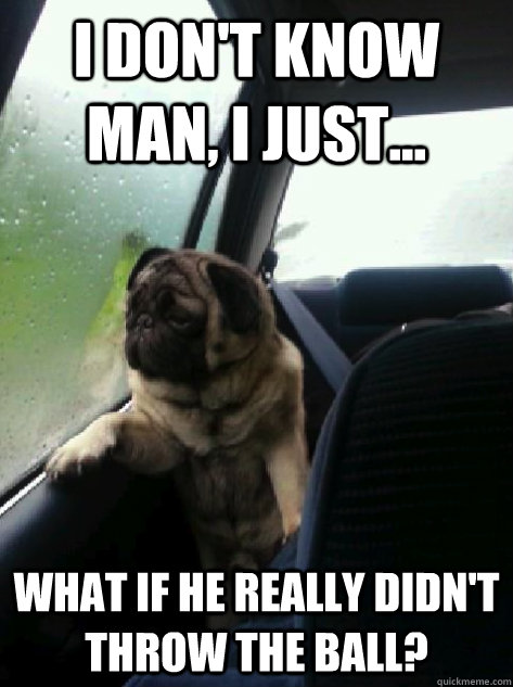 I don't know man, I just... What if he really didn't throw the ball?  Introspective Pug