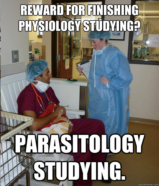 Reward for finishing Physiology studying? Parasitology studying. - Reward for finishing Physiology studying? Parasitology studying.  Overworked Veterinary Student