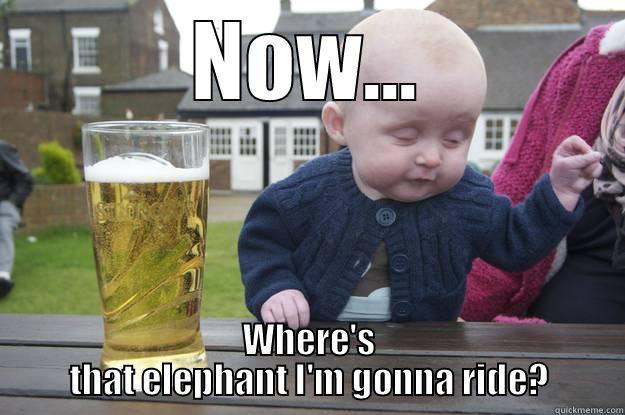 NOW... WHERE'S THAT ELEPHANT I'M GONNA RIDE? drunk baby