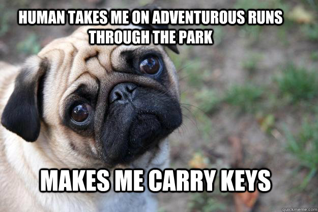 Human takes me on adventurous runs through the park Makes me carry keys  First World Dog problems