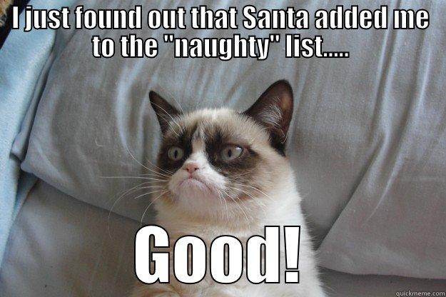 I JUST FOUND OUT THAT SANTA ADDED ME TO THE 