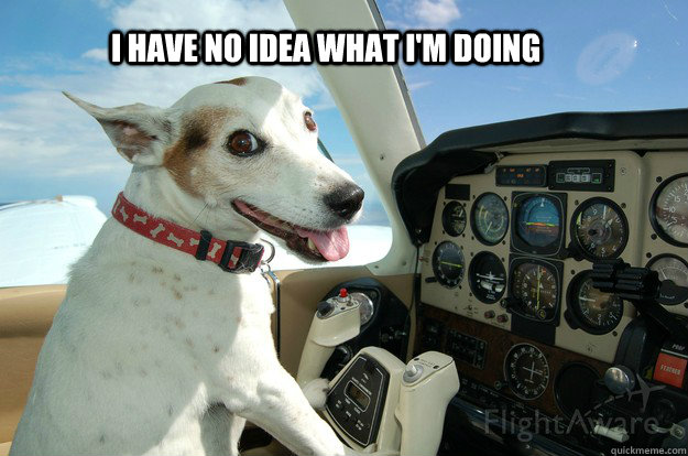 I have no idea what I'm doing - Pilot Dog - quickmeme