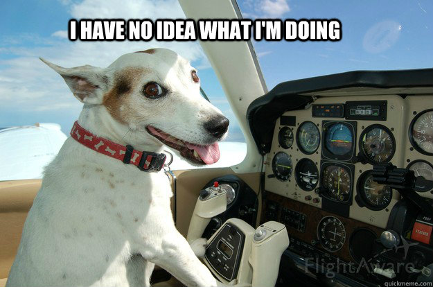 I have no idea what I'm doing - I have no idea what I'm doing  Pilot Dog