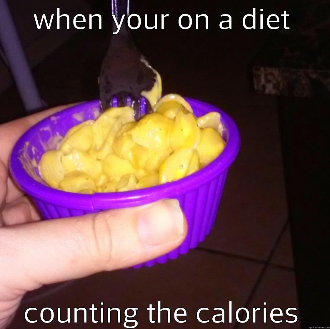 WHEN YOUR ON A DIET COUNTING THE CALORIES Misc