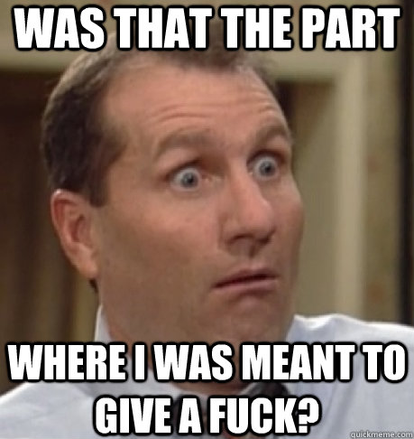 WAS that the part where I was MEANT to give a fuck?  Al Bundy