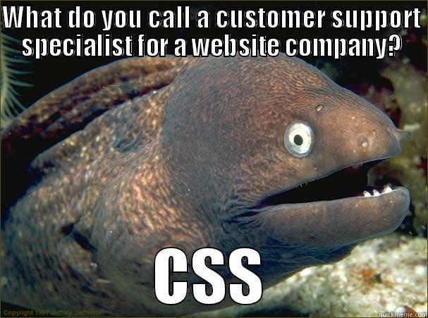 Web company joke - WHAT DO YOU CALL A CUSTOMER SUPPORT SPECIALIST FOR A WEBSITE COMPANY? CSS Bad Joke Eel