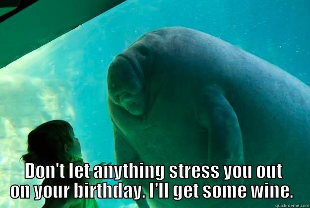Birthday manatee -  DON'T LET ANYTHING STRESS YOU OUT ON YOUR BIRTHDAY. I'LL GET SOME WINE.  Overlord Manatee