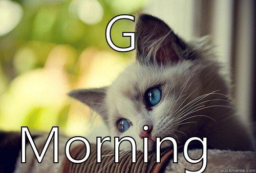 GOOD  MORNING  First World Problems Cat