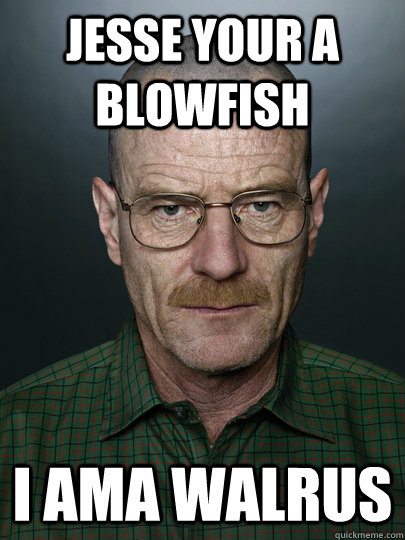 Jesse your a blowfish I ama walrus   Advice Walter White