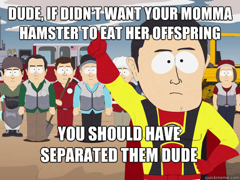 Dude, if didn't want your momma hamster to eat her offspring You should have 
separated them dude - Dude, if didn't want your momma hamster to eat her offspring You should have 
separated them dude  Captain Hindsight