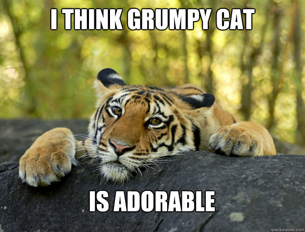 I think Grumpy cat is adorable   Confession Tiger