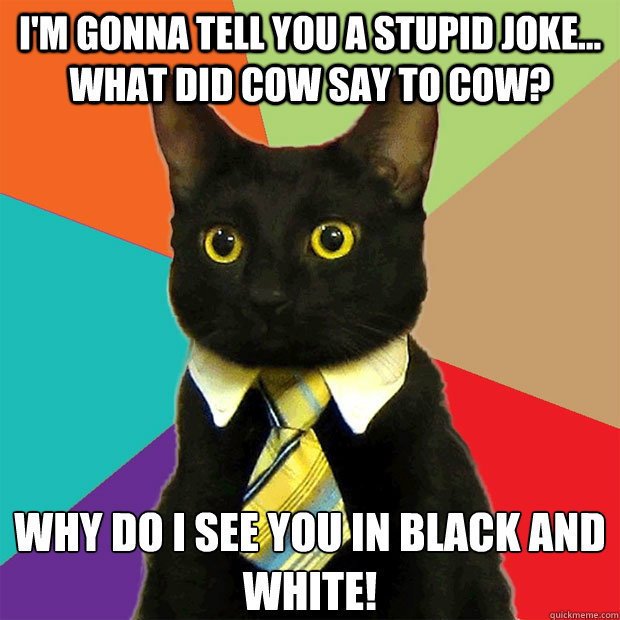 I'm gonna tell you a stupid joke... What did cow say to cow?  Why do I see you in black and white!  Business Cat