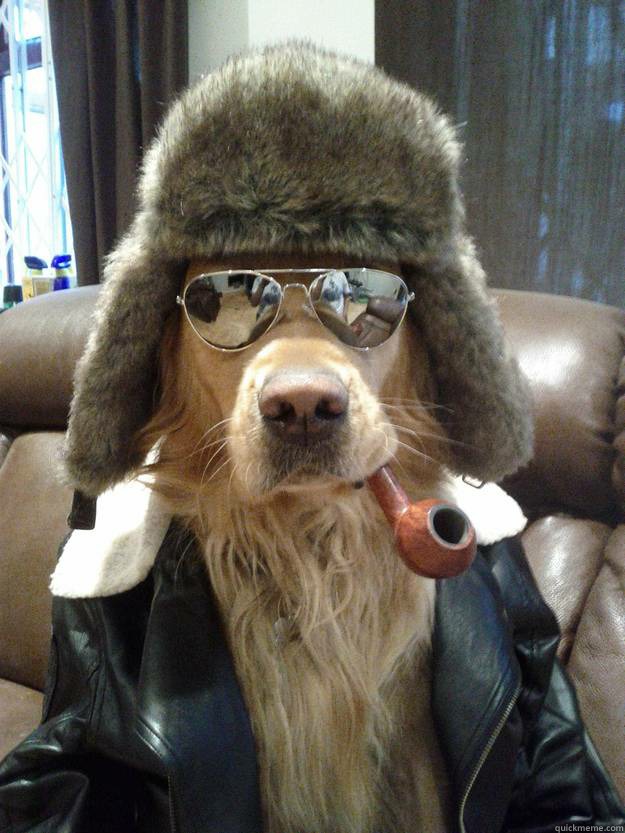   -    Aviator Dog