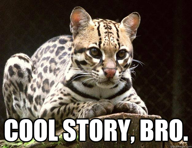 Cool story, bro.  ocelot