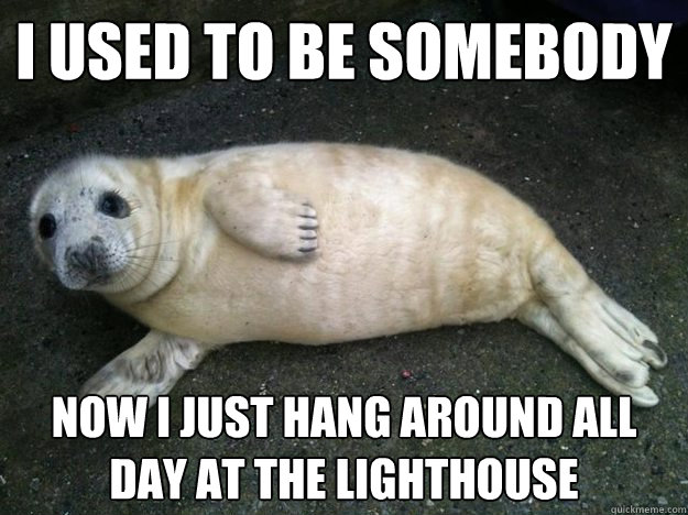 I used to be somebody now i just hang around all day at the lighthouse  Washed Up Seal