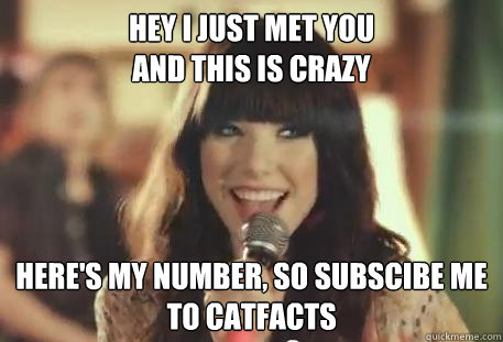 Hey I Just Met you
and this is crazy Here's my number, so subscibe me to CATFACTS
 - Hey I Just Met you
and this is crazy Here's my number, so subscibe me to CATFACTS
  Hey I Just Met You 27