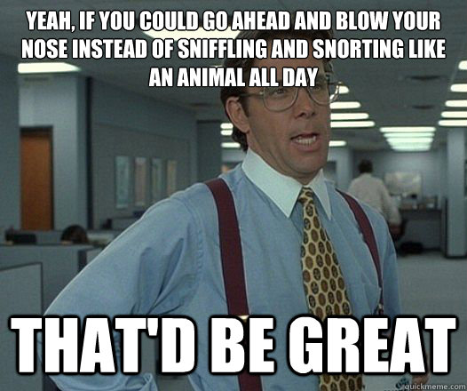 Yeah, if you could go ahead and blow your nose instead of sniffling and snorting like an animal all day That'd be great  Lumbergh