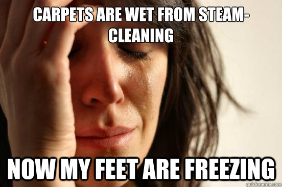 Carpets are wet from steam-cleaning Now my feet are freezing  First World Problems