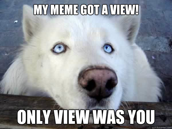 my meme got a view! only view was you  