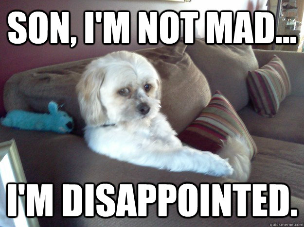 Son, I'm not mad... I'm disappointed. - Son, I'm not mad... I'm disappointed.  Disappointed Doggy