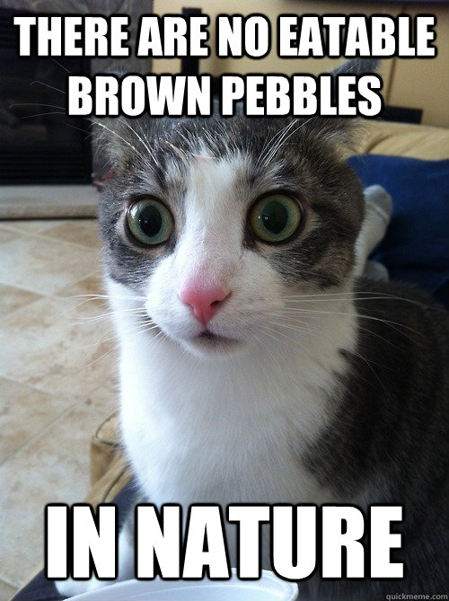 there are no eatable brown pebbles  in nature - there are no eatable brown pebbles  in nature  Sudden Clarity Cat