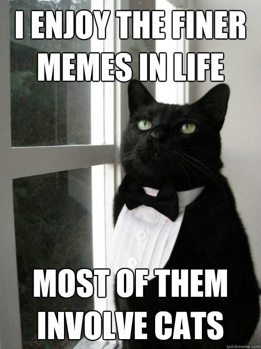 I Enjoy the finer memes in life Most of them involve cats  