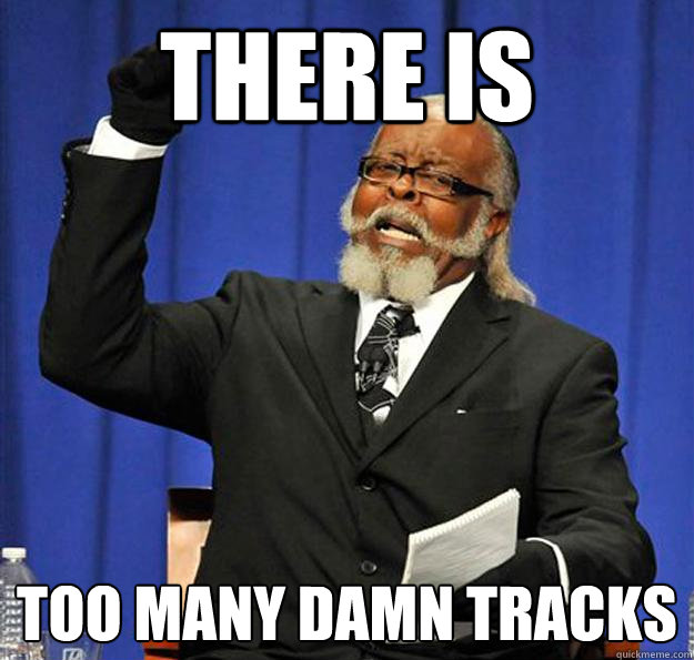 THERE IS TOO MANY DAMN TRACKS  Jimmy McMillan