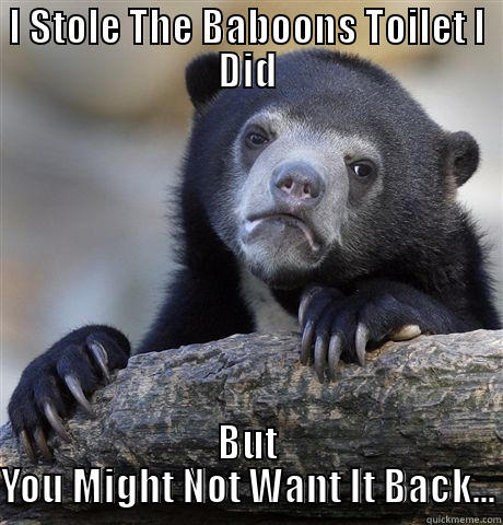 I STOLE THE BABOONS TOILET I DID BUT YOU MIGHT NOT WANT IT BACK... Confession Bear