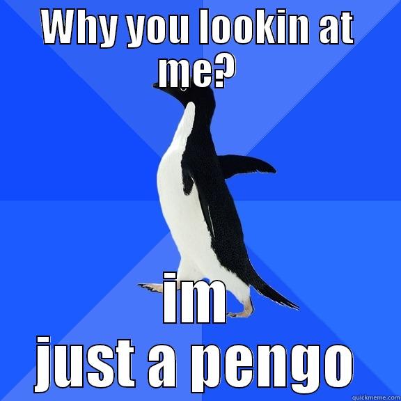 just a pengo - WHY YOU LOOKIN AT ME? IM JUST A PENGO Socially Awkward Penguin